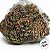 Saquinho com Pinhas - Marrom e Musgo - 200g - 11 unidades - Cromus - Rizzo - Imagem 2