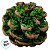 Saquinho com Pinhas - Marrom e Musgo - 200g - 11 unidades - Cromus - Rizzo - Imagem 3