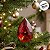 Enfeite para Pendurar de Natal - Joia Gota Vermelha - 9x14x6cm - 1 unidade - Cromus - Rizzo - Imagem 4