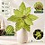 Poinsétia Decorativa - Verde com Glitter - 41,5cm - 1 unidade - Cromus - Rizzo - Imagem 4