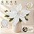 Poinsétia Decorativa - Branco com Glitter - 41,5cm - 1 unidade - Cromus - Rizzo - Imagem 4