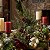 Galho Decorativo de Natal - Pinha e Folhas - 50x30x7cm - 1 unidade - Cromus - Rizzo - Imagem 7