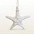 Enfeite Decorativo Para Pendurar em Resina - Estrela do Mar - Branca - 15x15x3cm - 1 unidade - Rizzo - Imagem 1