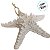Enfeite Decorativo Para Pendurar em Resina - Estrela do Mar - Branca - 15x15x3cm - 1 unidade - Rizzo - Imagem 3