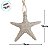 Enfeite Decorativo Para Pendurar em Resina - Estrela do Mar - Branca - 15x15x3cm - 1 unidade - Rizzo - Imagem 4