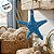 Enfeite Decorativo Para Pendurar em Resina - Estrela do Mar - Azul - 15x15x3cm - 1 unidade - Rizzo - Imagem 5
