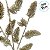 Galho Decorativo de Natal - Champagne com Glitter - 70x23x4cm - 1 unidade - Cromus - Rizzo - Imagem 3