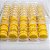 Blister para 35 Macarons Ref. BM35C - 27,5x22x5cm - 20 Unidades - San Felipo Rizzo Confeitaria​ - Imagem 1