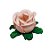 Forminha para Doces Finos - Rainha Nude - 40 unidades - Decora Doces - Imagem 1
