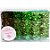 Forminha para Doces Finos - Madri Tons Verdes - 50 unidades - Decora Doces - Rizzo Festas - Imagem 1
