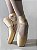 Sapatilha de Ponta para Ballet Professional Capezio Ref 184 - Imagem 2