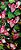 Vestido Tubinho Tropical Floral Tiki - Imagem 7
