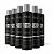 Kit Atacado 6 Shampoo Black Platinum Matizador Platinador Loiros e Grisalhos com Vitamina E 250ml Anjore - Imagem 1
