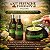 Kit Atacado Pistache Therapy 6 Shampoo Condicionador Máscara Efeito Teia Anjore Multibenefícios - Imagem 2