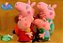 Peppa Pig Família  frete Gratis - Imagem 2