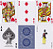 Baralho Tycoon Azul - Imagem 9