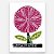 Xilogravura A Rosa do Amor P - assinada por J. Borges - PE (Última peça) - Imagem 1