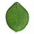 Folha em Látex G Apuí Verde - Kazumbá - AC - Imagem 1