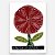 Xilogravura Coleção A Rosa do Amor P - assinada por J. Borges - PE (Raridade) - Imagem 1