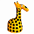 Girafa M - Leonildo - PE - Imagem 1