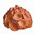 Coral - Lenny's - PE - Imagem 1