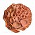Coral - Lenny's - PE - Imagem 2