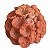 Coral - Lenny's - PE - Imagem 2