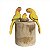 Casal de Arara Amarelinha com Filhote - Olinda - MS - Imagem 1
