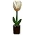 Tulipa Branca no Vaso - Joalisson - PB - Imagem 1