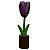 Tulipa Lilás no Vaso - Joalisson - PB - Imagem 1