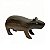 Capivara G - Novarte - AM - Imagem 1