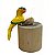 Arara Amarelinha com Ovos - Olinda - MS - Imagem 1
