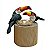 Casal de Tucano com Ovos - Olinda - MS - Imagem 1