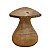 Cogumelo P - Bitim - CE - Imagem 1