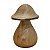 Cogumelo M - Bitim - CE - Imagem 1