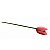 Tulipa Rosa - Nery - SP - Imagem 1