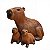 Família de Capivara - Douglas - SE - Imagem 1