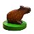 Capivara na Base PP - Nery - SP - Imagem 1