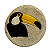 Pratinho Tucano - Carla - MS - Imagem 1