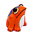 Sapo Laranja - Bruno Daltro - PE - Imagem 1