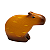 Capivara - Nery - SP - Imagem 1