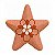 Estrela M Rosa - Josefina - Vale do Jequitinhonha - MG - Imagem 1