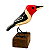 Cardeal na Base P - Joalisson - PB - Imagem 1