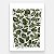 Xilogravura "Peixes Verde" M 2026 - Bacaro Borges - PE - Imagem 1