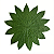Folha em Látex G Seringueira Verde - Kazumbá - AC - Imagem 1