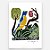 Xilogravura "Gaturamo" P - assinada por J. Borges - PE (Raridade) - Imagem 1