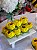 Forminha Princesa 30 Un Amarelo Vivo - Imagem 2