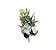 Enfeite Galho Flores Branco/Verde 35Cm Natal - Imagem 1