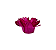 Forminha Madri 50 Un Pink - Imagem 1