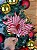 Galho Poinsetia Decoração Vermelho Listra Natal 25 cm - Imagem 2